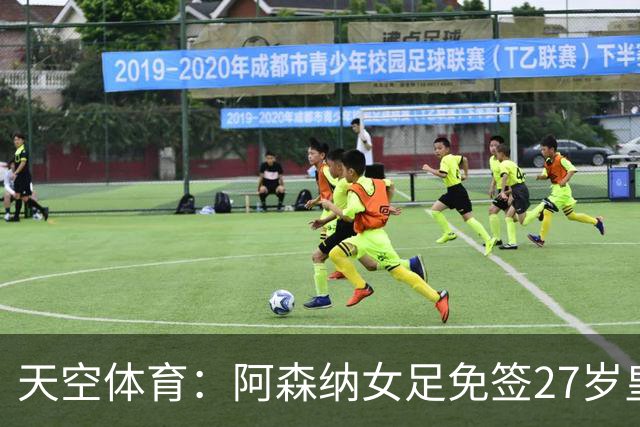 天空体育：阿森纳女足免签27岁皇马女足门将米萨・罗德里格斯