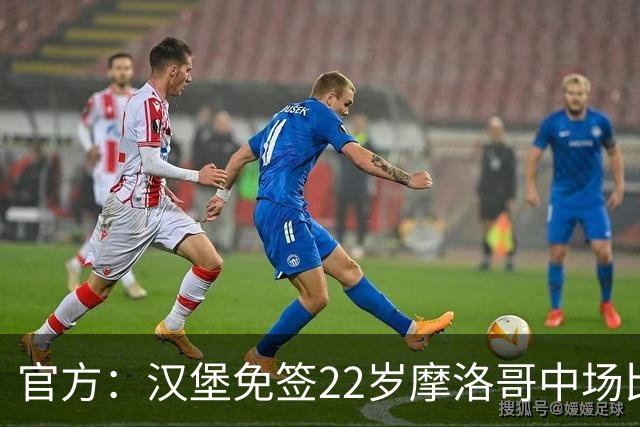 官方：汉堡免签22岁摩洛哥中场比拉勒-纳迪尔