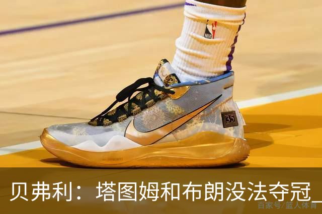 贝弗利：塔图姆和布朗没法夺冠 他俩不够互补